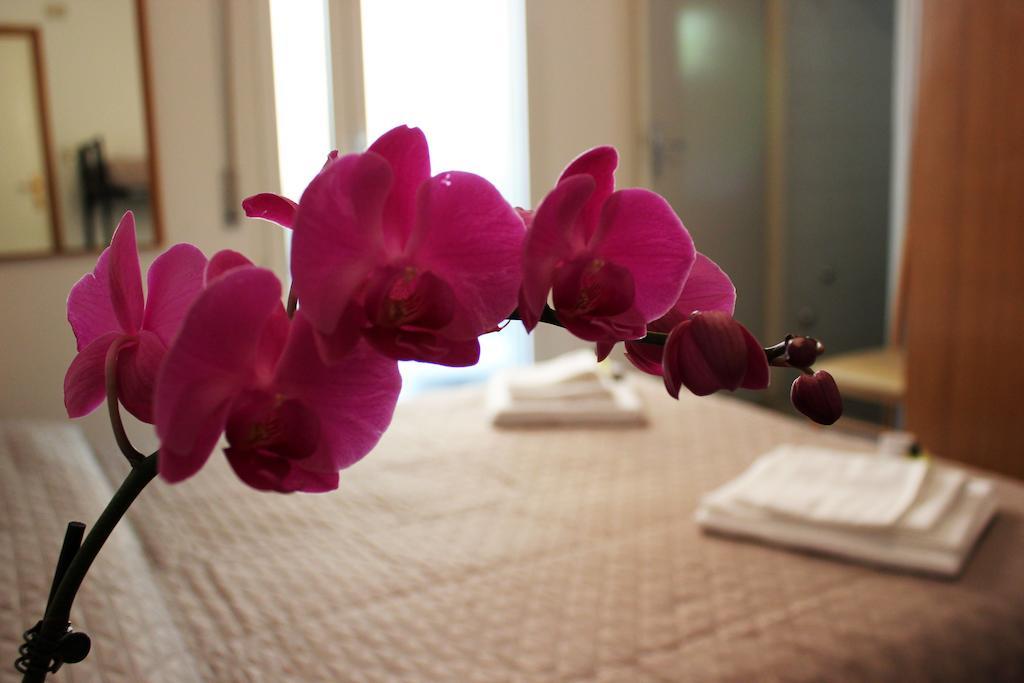Hotel Leda Rimini Room photo
